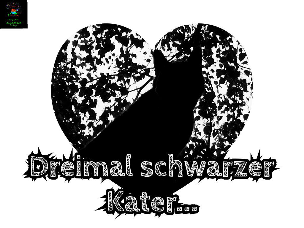 Dreimal schwarzer Kater ColorFairy
