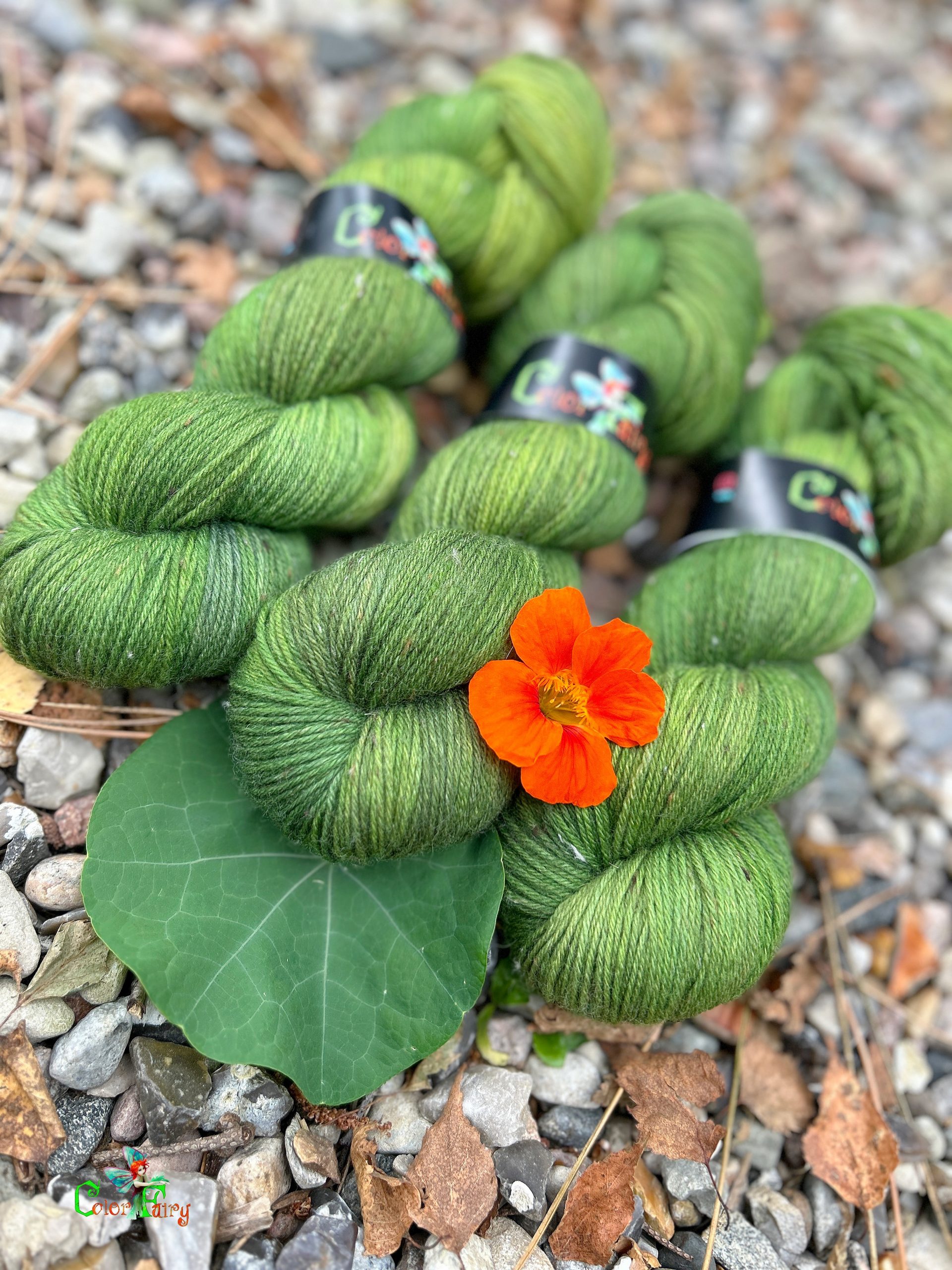 Der Grüne König – Bild 2