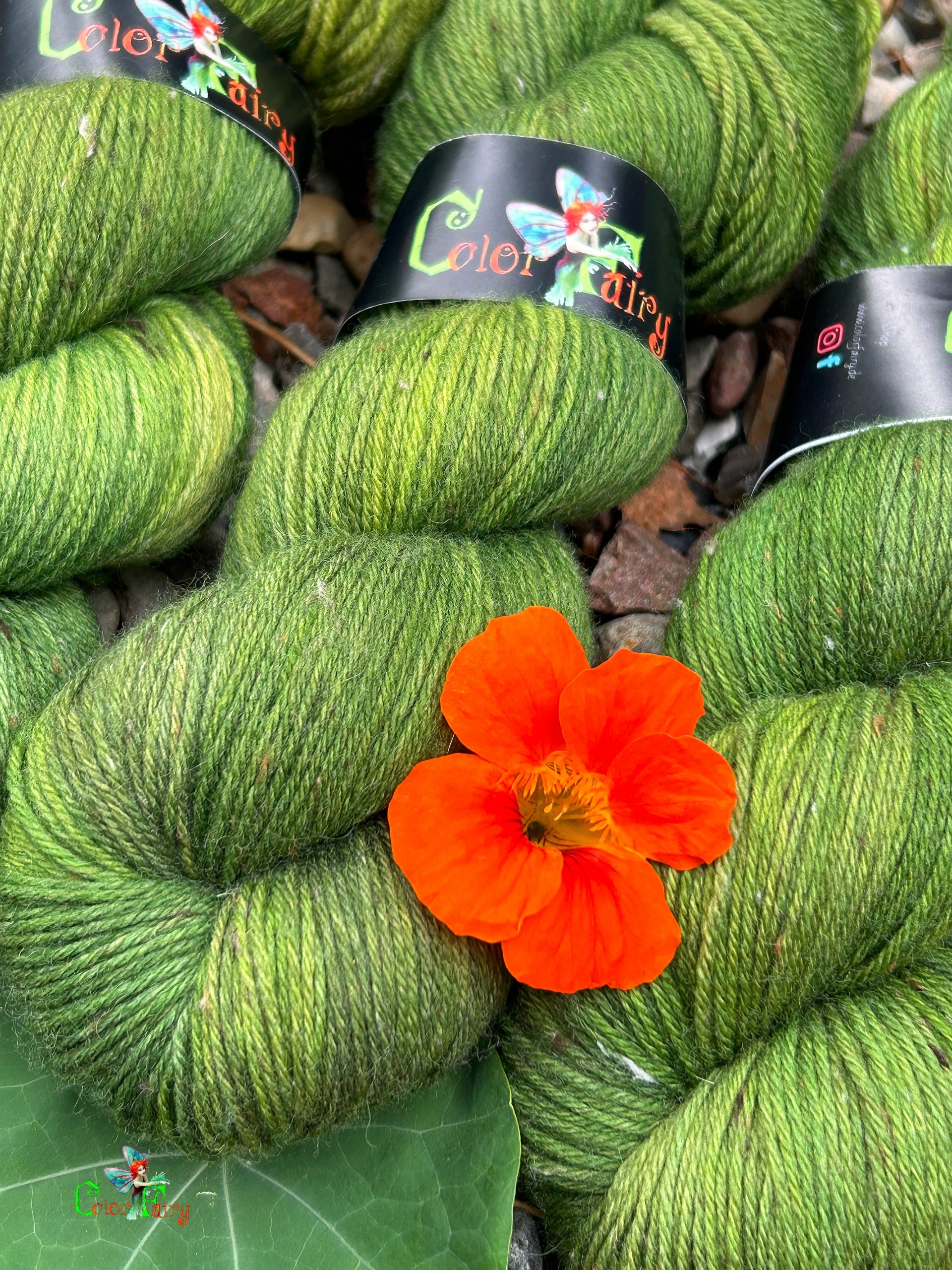 Der Grüne König – Bild 3